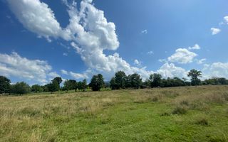 Teren de vanzare in  Tohanu Nou-Sohodol 6200 mp - Poză 2