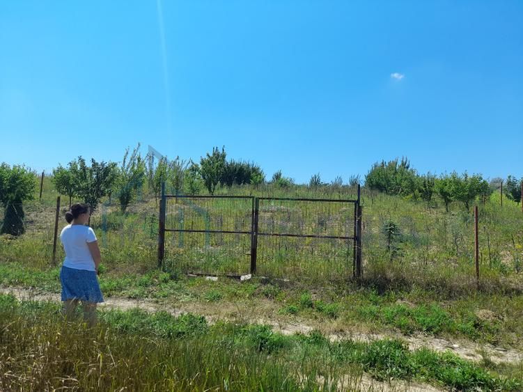 Tren in zona Copou Iasi, Numarul de - Poză 1