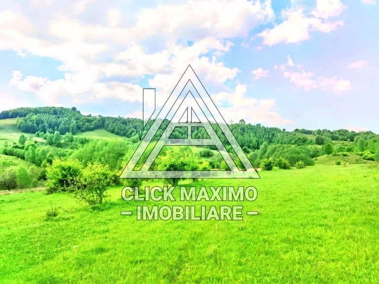 25.000 mp TEREN Ciucea – Calea Lata, jud. Cluj - Poză 3