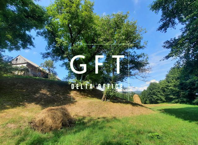 Teren intravila/extravilan, Rebrisoara - Poză 5