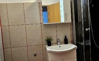 Apartament Octavian Goga // Unirii - Poză 6