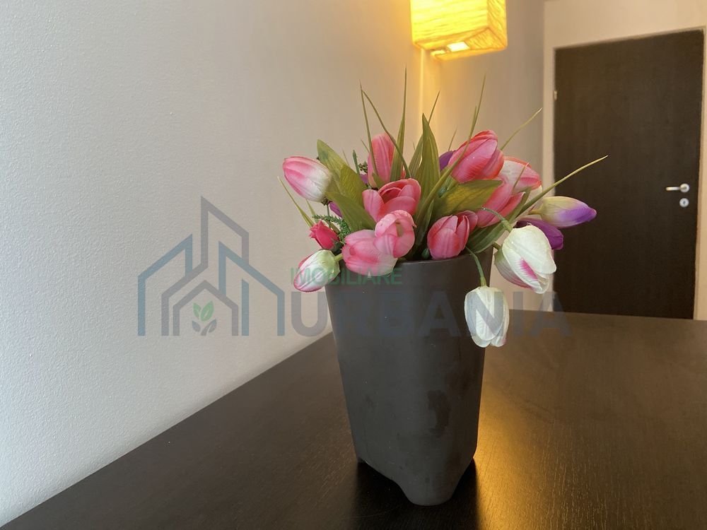Apartament 2 camere decomandate de închiriat în Nicolina, Iasi - Bloc Art Residence 2010, str. Ovidiu - Poză 7