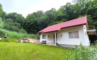 Casa noua Capusu Mare la marginea padurii - Poză 1