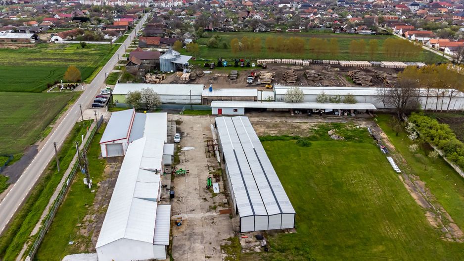 Hale depozitare/producție 2.000 mp si 10.000 mp teren în Pecica - Poză 3