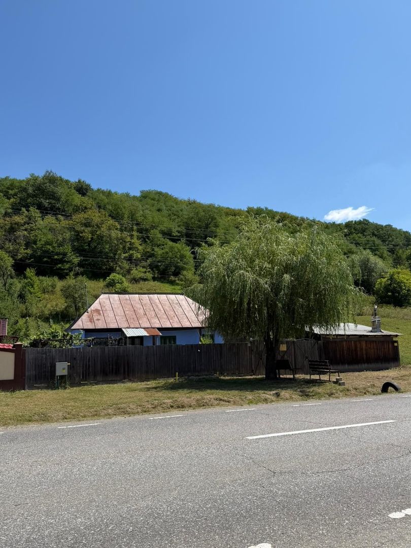 🏡 CASĂ BĂTRÂNEASCĂ DE VÂNZARE – SĂNDULENI,  💥 Comision 0% - Poză 1