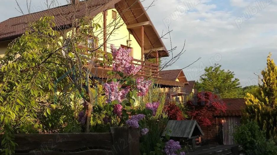 vilă Bârnova, Bucium, Saună, Piscină - Poză 5