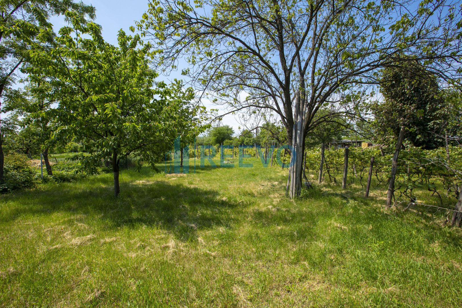 Casă de vânzare în Buhuși, jud. Bacău - Poză 8