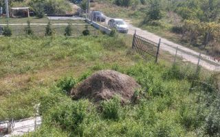 Teren zona bucium - Poză 4