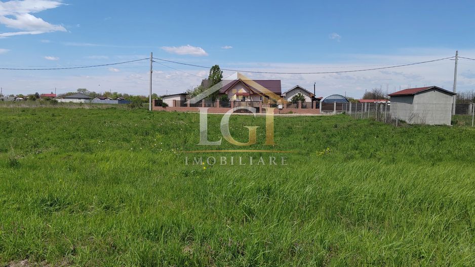 🌿 Teren de vânzare – Răcari, Str. Mestecenilor - Intrarea cu Tei - Poză 1