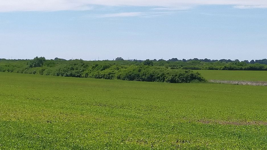 Un strop de liniște aproape de Timișoara - Poză 2