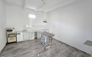 Casa de inchiriat in Vladimirescu (pretabil pentru Birou,Cabinet etc.) - Poză 19