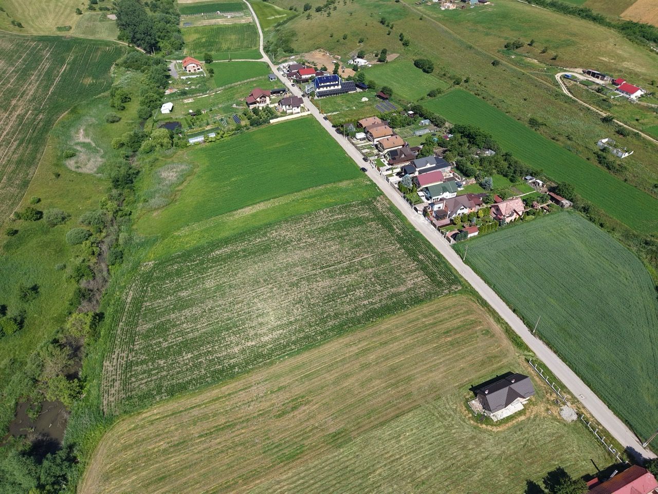 Teren intravilan 10.000 mp, Rotbav (Feldioara) - Poză 11