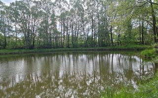 CASA 3 CAMERE, TEREN 6200 MP + 2 LACURI, CAMPULUNG, NAMAIESTI - Poză 13