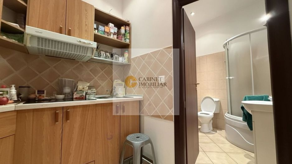 Parter Inalt I 47 mp I Gradina Icoanei I P+3 - Poză 5