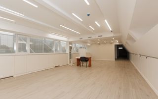 Chirie, oficiu, 170 mp, bulevardul Ștefan cel Mare și Sfânt, Centru - Poză 27