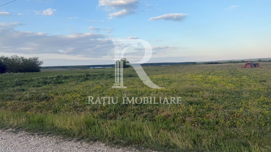 Teren extravilan | Păușa | Bihor - Poză 5