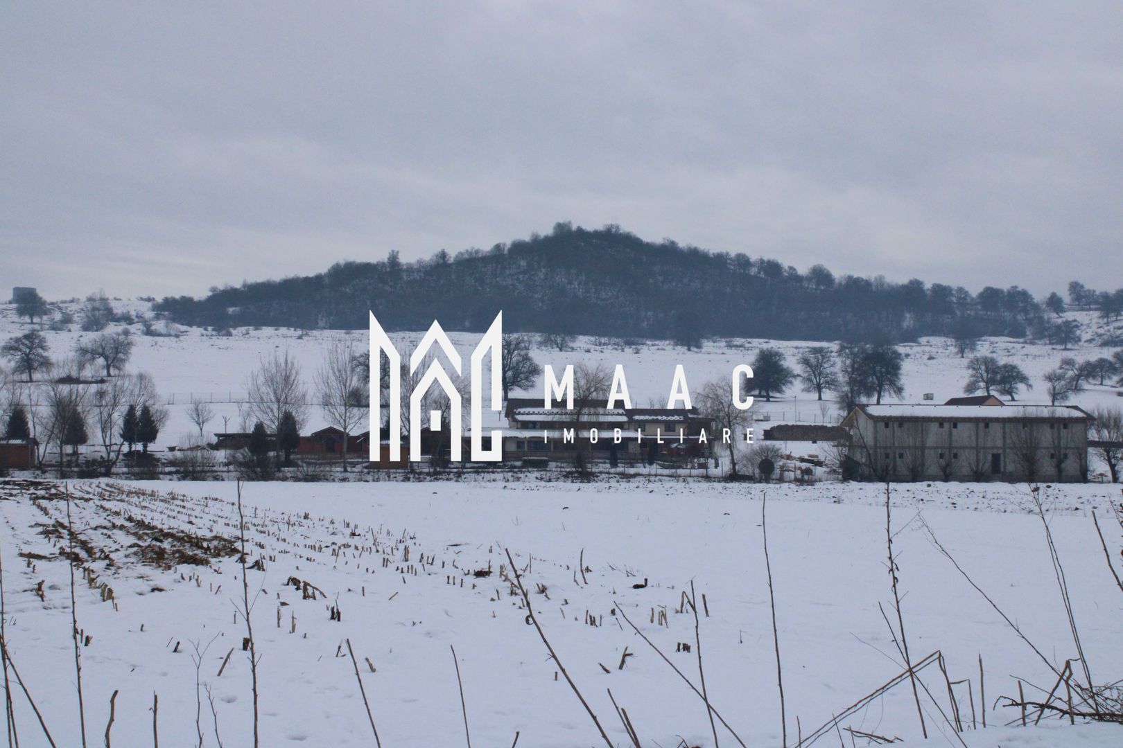 Teren 8000 mp I Intravilan I Utilitati- Vurpar - Poză 2