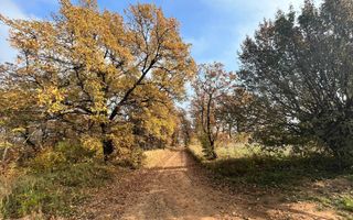 Teren de vanzare,  zona exclusivista,  2400MP - Poză 1