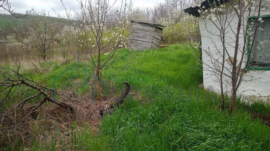 Casă și teren în Sat Cuza Vodă, comuna Popricani - Poză 4