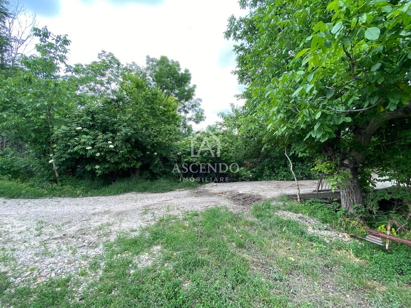 Domeniu 15.900 mp în Fințești | Casă + Investiție Dealu Mare - Poză 26