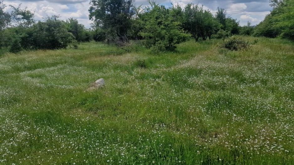 0% Comision!!! Teren intravilan Smeura - str Prunilor! - Poză 5
