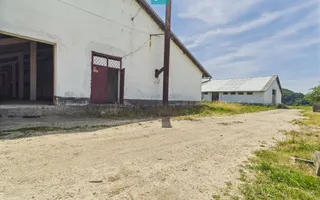 Hale 1800 mp fiecare – acces autostradă, Teiu, HD - Poză 20