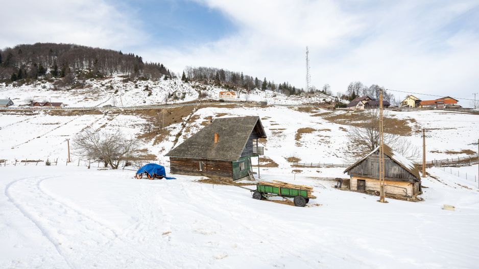 Teren 7,656 mp + Cabane tip A Frame, Fundata - Poză 13