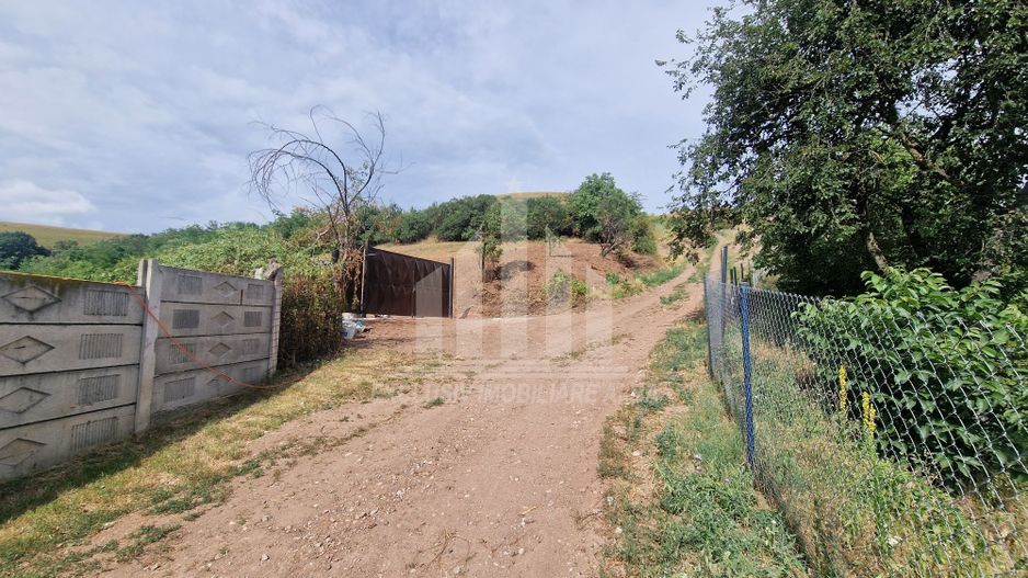 Teren intravilan intre Micesti si Sard - Poză 1