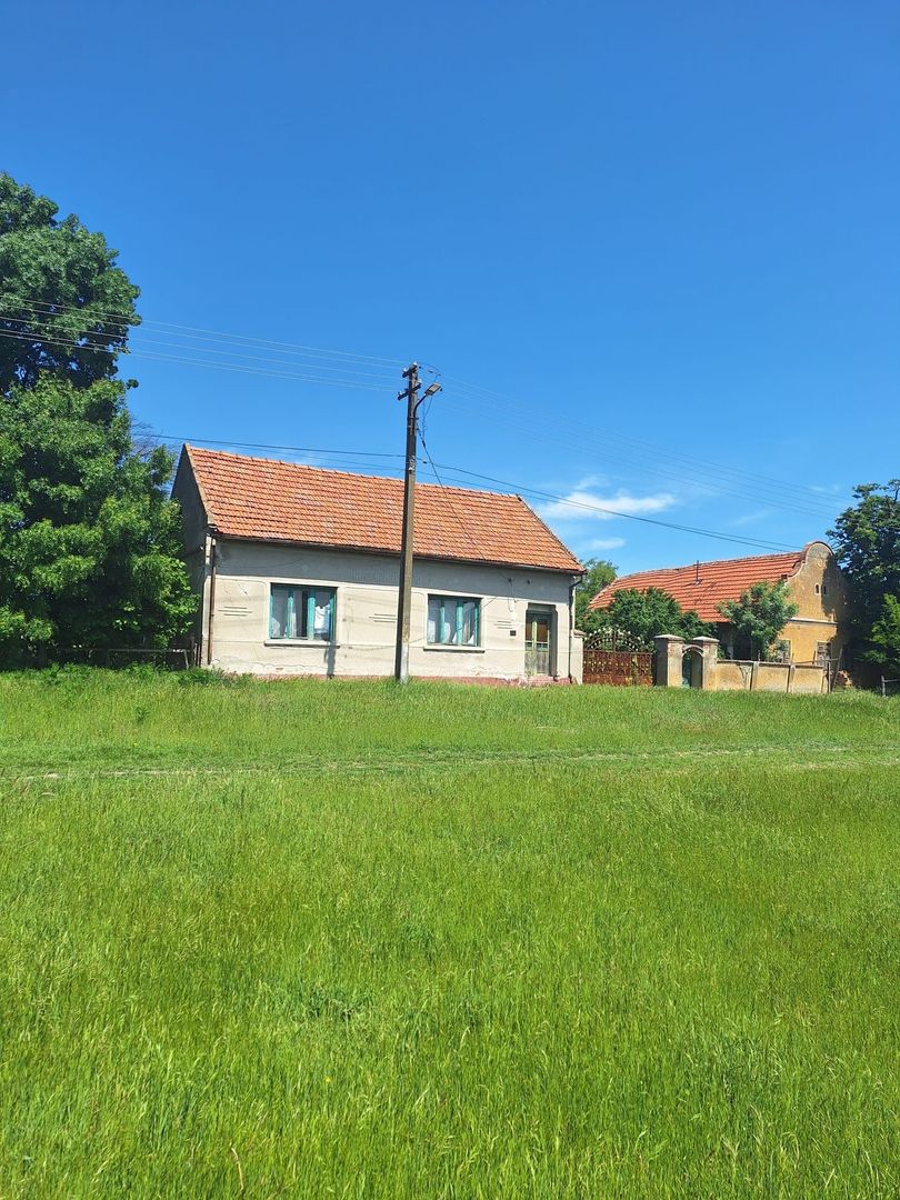 Teren vanzare-8000 m2-Cheveresu Mare -100 m front stradal - Poză 2