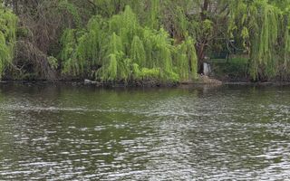 Vila premium - acces lac - investitie sigura - Tunari, Ilfov - Poză 12