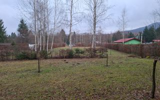 Teren deosebit pozitionat, cu livada, langa padure,  pe Valea Avrigului - Poză 10