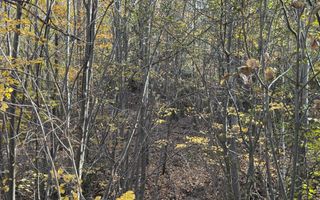 TEREN INTRAVILAN 13167 MP BUGHEA DE SUS ARGES - Poză 10