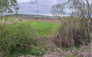 Teren intravilan – 1.738 mp | Jucu de Sus, zona Moliturii, front 23 - Poză 5