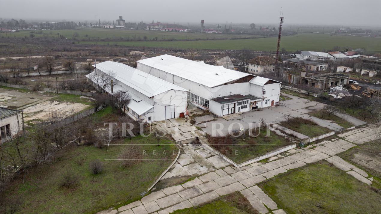 Teren Caracal 28.788m + Hale industriale + Sediu Firma - Poză 13