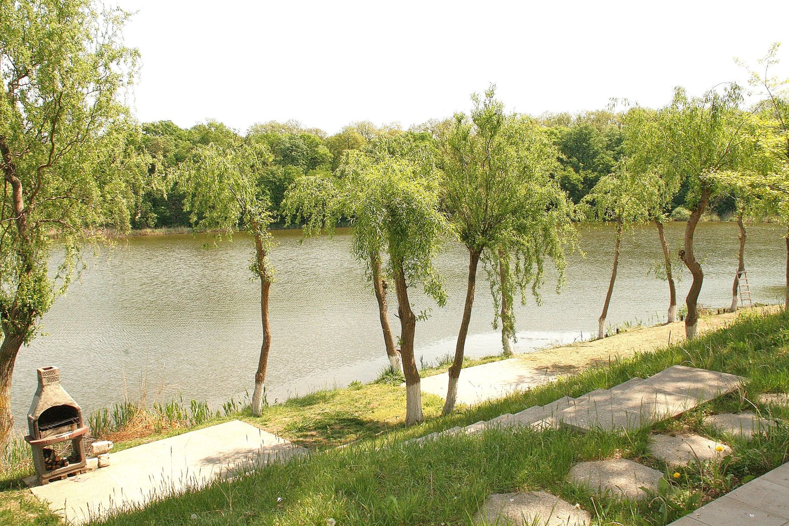 BRANESTI, cu deschidere la Balta Branesti, inchiriere vila 7 camere - Poză 20