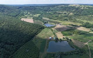 Teren de 6.2 Hectare cu Iaz propriu, lângă pădure – Vorniceni, Strășeni! - Poză 3