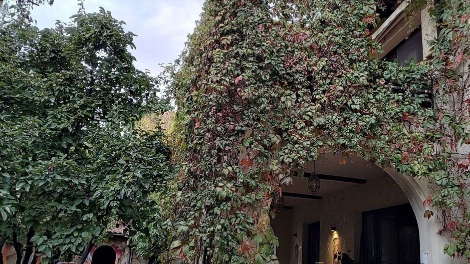 Vila mediteraneană cu farmec neo-românesc, în liniștea eleganta din Iancu Nicola - Poză 3