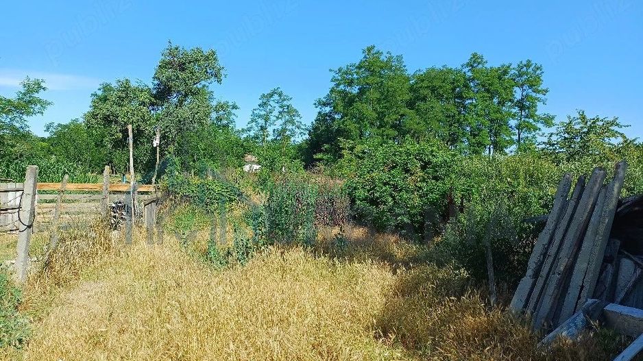 Teren intravilan 1067 mp cu casă și anexe – Grozești - Poză 3