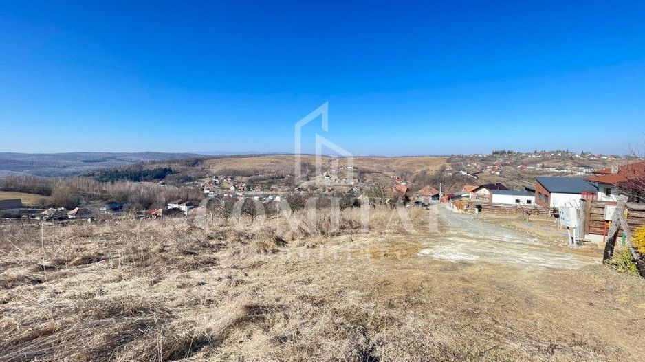 Teren cu potential de investitie 2430 mp si drum de acces - Poză 1