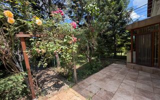 VANZARE VILA 280 MP UTILI | TEREN 900 MP | 5 CAMERE | VOLUNTARI - Poză 22