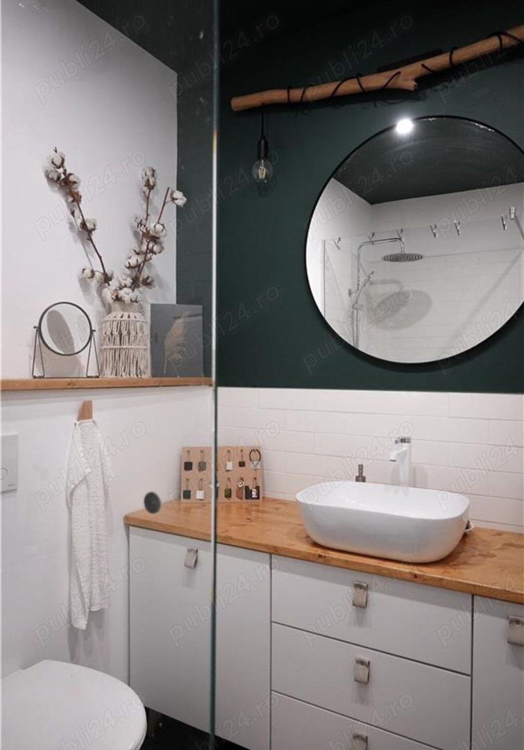 Apart deosebit pe malul Begai - Poză 3