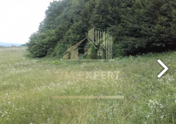 TEREM INTRAVILAN 2974 MP CAMPULUNG - Poză 2