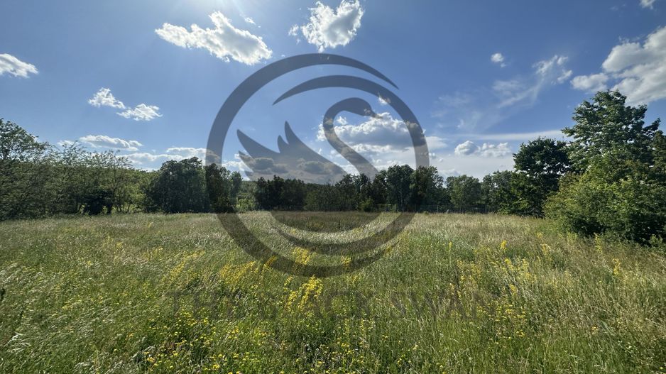 Teren Vanzare 11.000 MP Ghirdoveni | Comision 0% - Poză 12