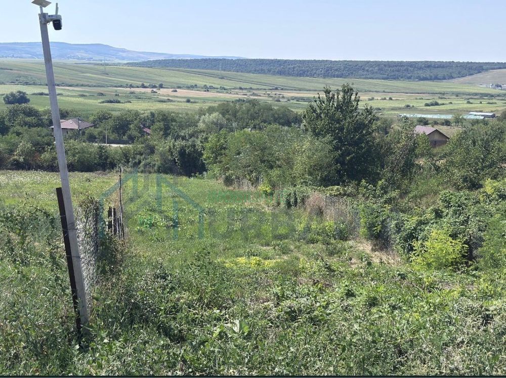 Teren intravilan de vanzare in Sat Ciurea, Comuna Ciurea, Judetul Iasi - Poză 2