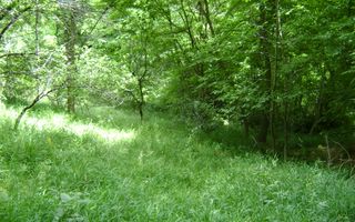 Teren de vanzare Cornu 3074 mp - Poză 1