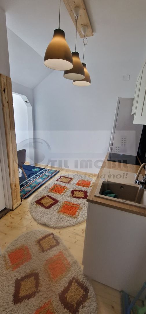Apartament la casă • 400 € • 10 min de UAIC – Intrare separată - Poză 9