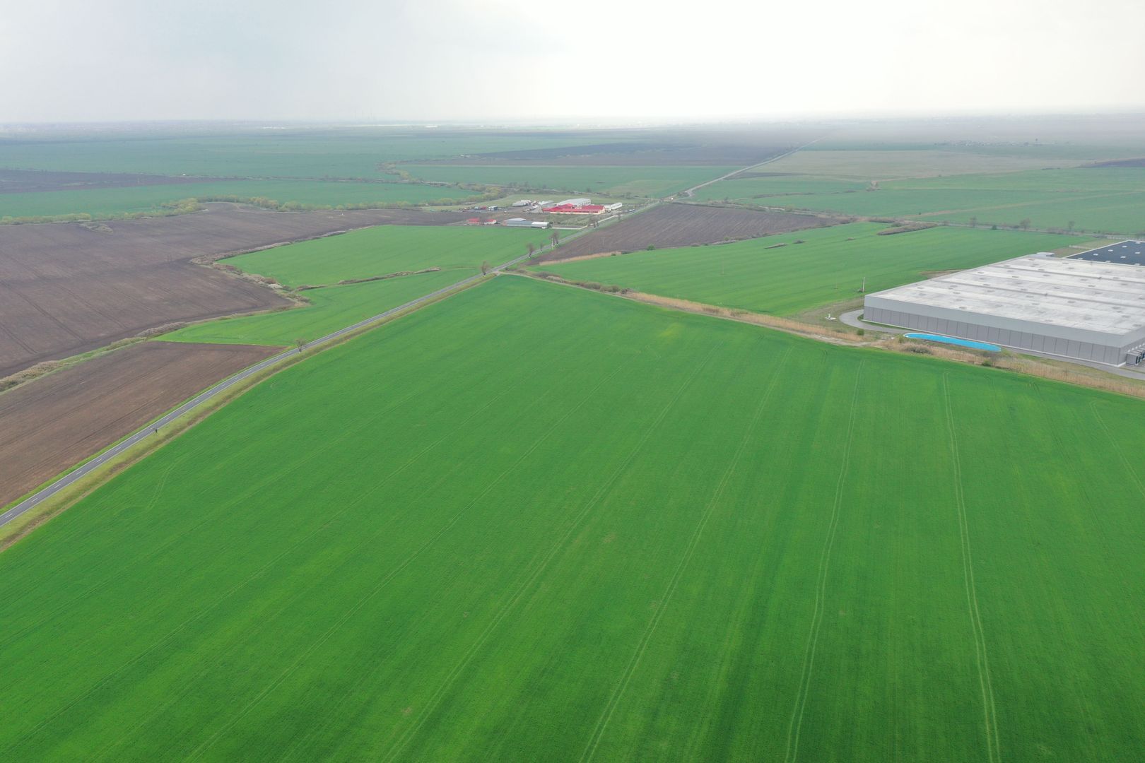 Teren industrial Dudestii Noi - Poză 1