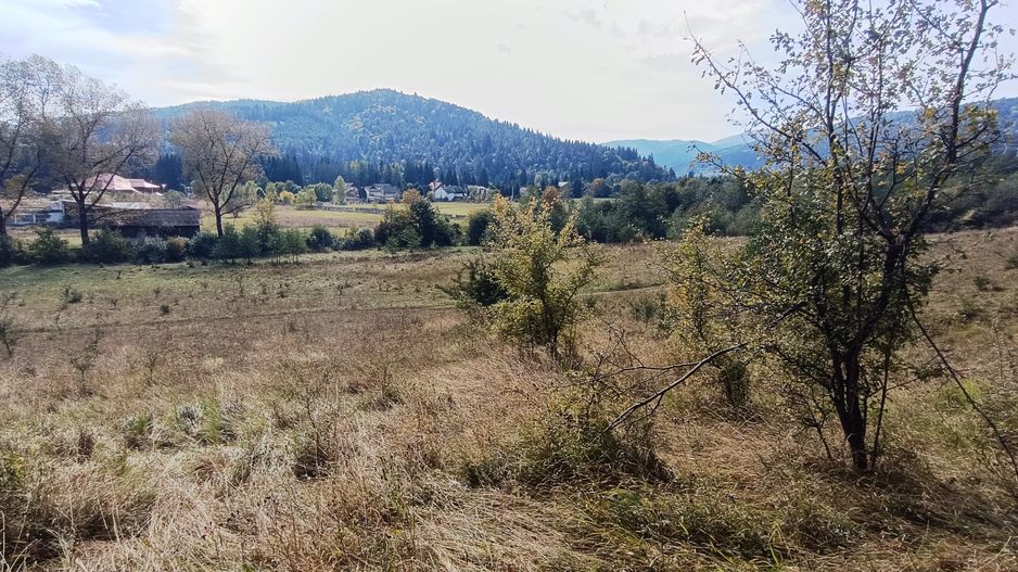 teren in zona Bradet-Sacele - Poză 7