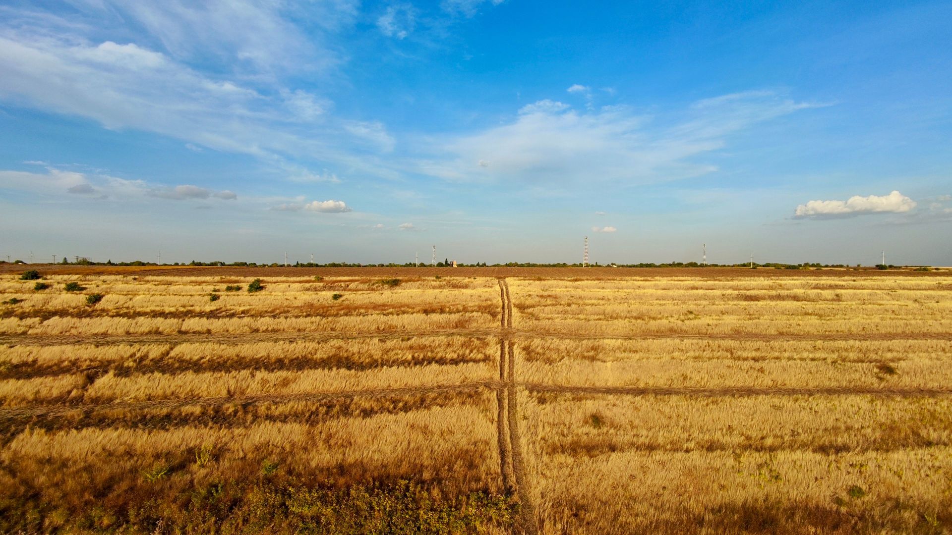 Teren Daia 75000 mp cu balta 30000 mp izvoare - Poză 11