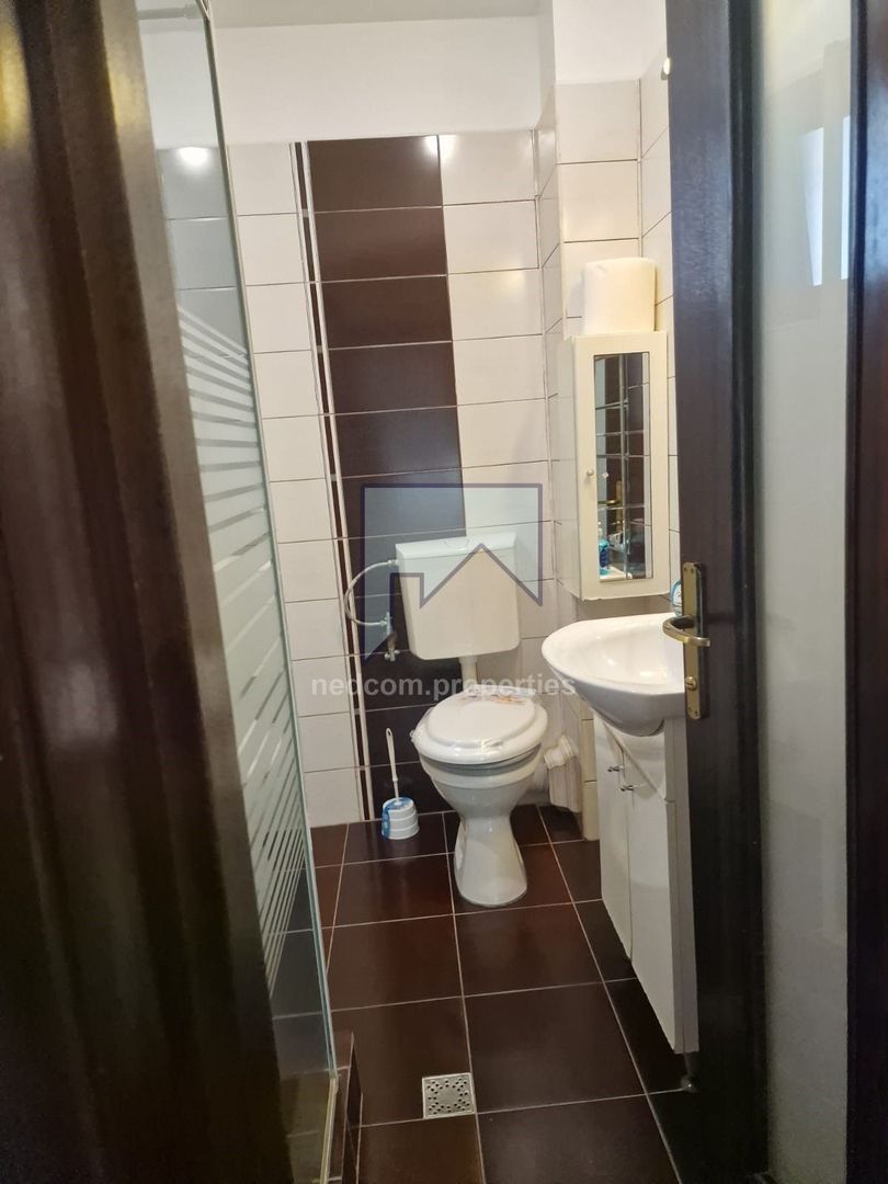 Vanzare apartament 2 camere - Vasile Lascar - Cartierul Armeneasca - Poză 19